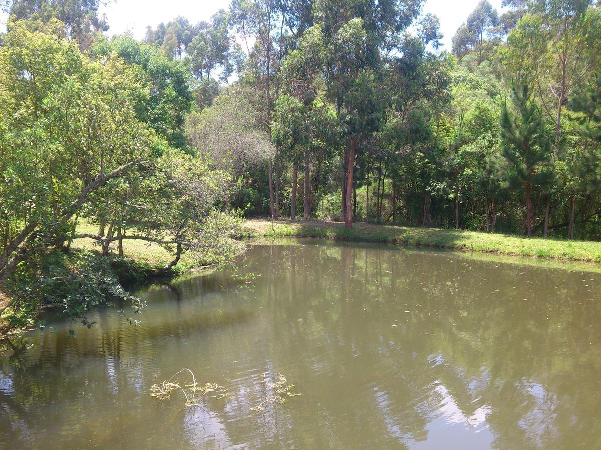 Ilhas Do Sol
